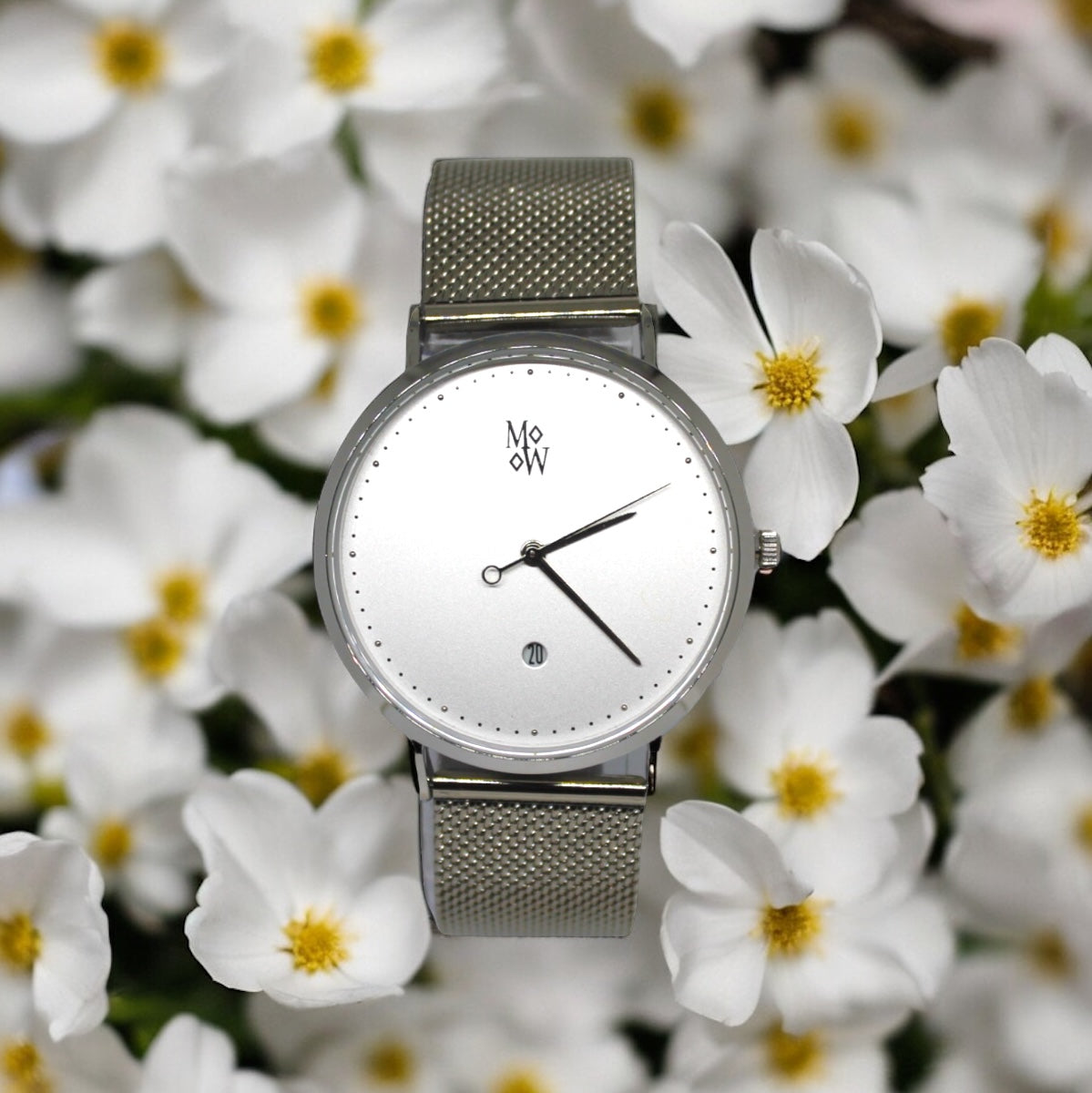 Forte Silver & White - The Mobilio Watch Company